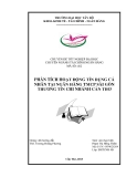 Luận văn: PHÂN TÍCH HOẠT ĐỘNG TÍN DỤNG CÁ NHÂN TẠI NGÂN HÀNG TMCP SÀI GÒN THƯƠNG TÍN CHI NHÁNH CẦN THƠ