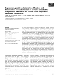 Báo cáo khoa học: Expression, post-translational modiﬁcation and biochemical characterization of proteins encoded by subgenomic mRNA8 of the severe acute respiratory syndrome coronavirus