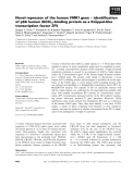 Báo cáo khoa học: Novel repressor of the human FMR1 gene ) identiﬁcation ¨ of p56 human (GCC)n-binding protein as a Kruppel-like transcription factor ZF5