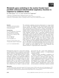 Báo cáo khoa học: Metabolic gene switching in the murine female heart parallels enhanced mitochondrial respiratory function in response to oxidative stress