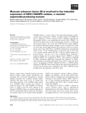 Báo cáo khoa học: Myocyte enhancer factor 2B is involved in the inducible expression of NOX1⁄ NADPH oxidase, a vascular superoxide-producing enzyme