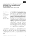 Báo cáo khoa học: Probing the determinants of coenzyme speciﬁcity in Peptostreptococcus asaccharolyticus glutamate dehydrogenase by site-directed mutagenesis