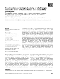 Báo cáo khoa học: Construction and biological activity of a full-length molecular clone of human Torque teno virus (TTV) genotype 6