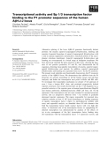 Báo cáo khoa học: Transcriptional activity and Sp 1⁄3 transcription factor binding to the P1 promoter sequences of the human AbH-J-J locus