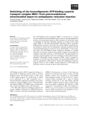 Báo cáo khoa học: Switching of the homooligomeric ATP-binding cassette transport complex MDL1 from post-translational mitochondrial import to endoplasmic reticulum insertion