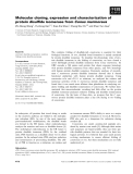 Báo cáo khoa học: Molecular cloning, expression and characterization of protein disulﬁde isomerase from Conus marmoreus