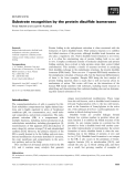 Báo cáo khoa học: Substrate recognition by the protein disulﬁde isomerases