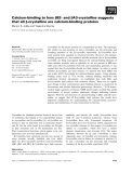 Báo cáo khoa học: Calcium-binding to lens bB2- and bA3-crystallins suggests that all b-crystallins are calcium-binding proteins