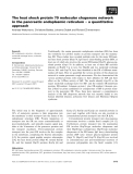 Báo cáo khoa học: The heat shock protein 70 molecular chaperone network in the pancreatic endoplasmic reticulum ) a quantitative approach