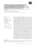 Báo cáo khoa học: Structure determination and biochemical studies on Bacillus stearothermophilus E53Q serine hydroxymethyltransferase and its complexes provide insights on function and enzyme memory