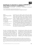 Báo cáo khoa học: Identiﬁcation of calreticulin as a ligand of GABARAP by phage display screening of a peptide library