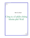 Bản Cáo Bạch Công ty cổ phần chứng khoán phố Wall