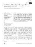 Báo cáo khoa học: Identiﬁcation of three phases in Onconase refolding