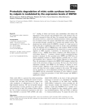 Báo cáo khoa học: Proteolytic degradation of nitric oxide synthase isoforms by calpain is modulated by the expression levels of HSP90