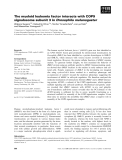 Báo cáo khoa học: The myeloid leukemia factor interacts with COP9 signalosome subunit 3 in Drosophila melanogaster