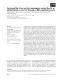 Báo cáo khoa học: Activated Rac1, but not the tumorigenic variant Rac1b, is ubiquitinated on Lys 147 through a JNK-regulated process