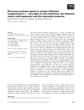 Báo cáo khoa học: Phytoene synthase genes in tomato (Solanum lycopersicum L.) – new data on the structures, the deduced amino acid sequences and the expression patterns