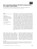 Báo cáo khoa học: Nck-1 selectively modulates eIF2aSer51 phosphorylation by a subset of eIF2a-kinases