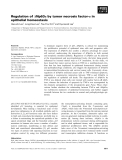 Báo cáo khoa học: Regulation of DNp63a by tumor necrosis factor-a in epithelial homeostasis