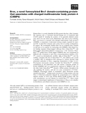 Báo cáo khoa học: Brox, a novel farnesylated Bro1 domain-containing protein that associates with charged multivesicular body protein 4 (CHMP4)