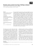 Báo cáo khoa học: Putative prion protein from Fugu (Takifugu rubripes)