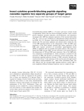 Báo cáo khoa học: Insect cytokine growth-blocking peptide signaling cascades regulate two separate groups of target genes