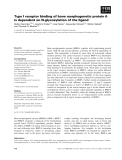 Báo cáo khoa học: Type I receptor binding of bone morphogenetic protein 6 is dependent on N-glycosylation of the ligand