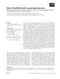 Báo cáo khoa học: Role of disulﬁde bonds in goose-type lysozyme