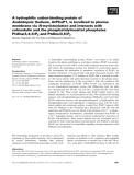 Báo cáo khoa học: A hydrophilic cation-binding protein of Arabidopsis thaliana, AtPCaP1, is localized to plasma membrane via N-myristoylation and interacts with calmodulin and the phosphatidylinositol phosphates PtdIns(3,4,5)P3 and PtdIns(3,5)P2