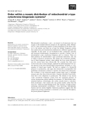 Báo cáo khoa học: Order within a mosaic distribution of mitochondrial c-type cytochrome biogenesis systems?