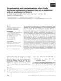 Báo cáo khoa học: Pyrophosphate and tripolyphosphate affect ﬁreﬂy luciferase luminescence because they act as substrates and not as allosteric effectors