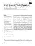 Báo cáo khoa học: Interaction between Lim15/Dmc1 and the homologue of the large subunit of CAF-1 – a molecular link between recombination and chromatin assembly during meiosis