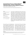 Báo cáo khoa học: S-nitrosylated proteins of a medicinal CAM plant Kalanchoe pinnata – ribulose-1,5-bisphosphate carboxylase⁄oxygenase activity targeted for inhibition