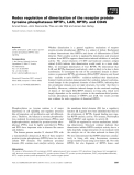 Báo cáo khoa học: Redox regulation of dimerization of the receptor proteintyrosine phosphatases RPTPa, LAR, RPTPl and CD45