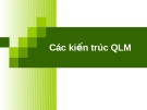 Các kiến trúc QLM