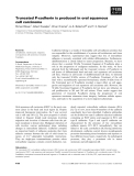 Báo cáo khoa học: Truncated P-cadherin is produced in oral squamous cell carcinoma