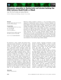 Báo cáo khoa học: Ribosome assembly in Escherichia coli strains lacking the RNA helicase DeaD⁄CsdA or DbpA