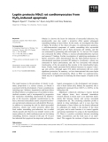 Báo cáo khoa học: Leptin protects H9c2 rat cardiomyocytes from H2O2-induced apoptosis