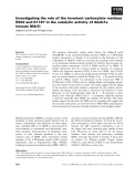 Báo cáo khoa học: Investigating the role of the invariant carboxylate residues E552 and E1197 in the catalytic activity of Abcb1a (mouse Mdr3)