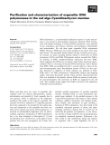 Báo cáo khoa học: Puriﬁcation and characterization of organellar DNA polymerases in the red alga Cyanidioschyzon merolae