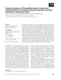 Báo cáo khoa học: Crystal structures of Drosophila mutant translin and characterization of translin variants reveal the structural plasticity of translin proteins
