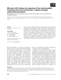 Báo cáo khoa học: Microcin J25 induces the opening of the mitochondrial transition pore and cytochrome c release through superoxide generation