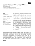 Báo cáo khoa học: Internalization of cystatin C in human cell lines