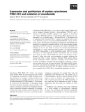 Báo cáo khoa học: Expression and puriﬁcation of orphan cytochrome P450 4X1 and oxidation of anandamide