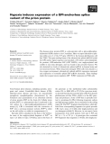 Báo cáo khoa học: Hypoxia induces expression of a GPI-anchorless splice variant of the prion protein