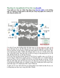 Ứng dụng của công nghệ phân tử Nano bạc trong lọc nước.