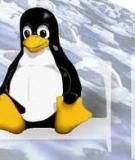 Giáo trình hệ điều hành linux - Trung tâm TCCN & DN