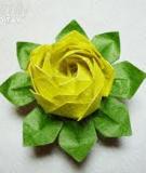 Gấp hoa sen giấy thật đẹp mà đơn giản