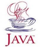 Vô hiệu hóa Java trong các trình duyệt web thông dụng