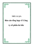 TIỂU LUẬN:  Báo cáo tổng hợp về Công ty cổ phần hà bắc